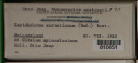 Image Associated With the Occurence